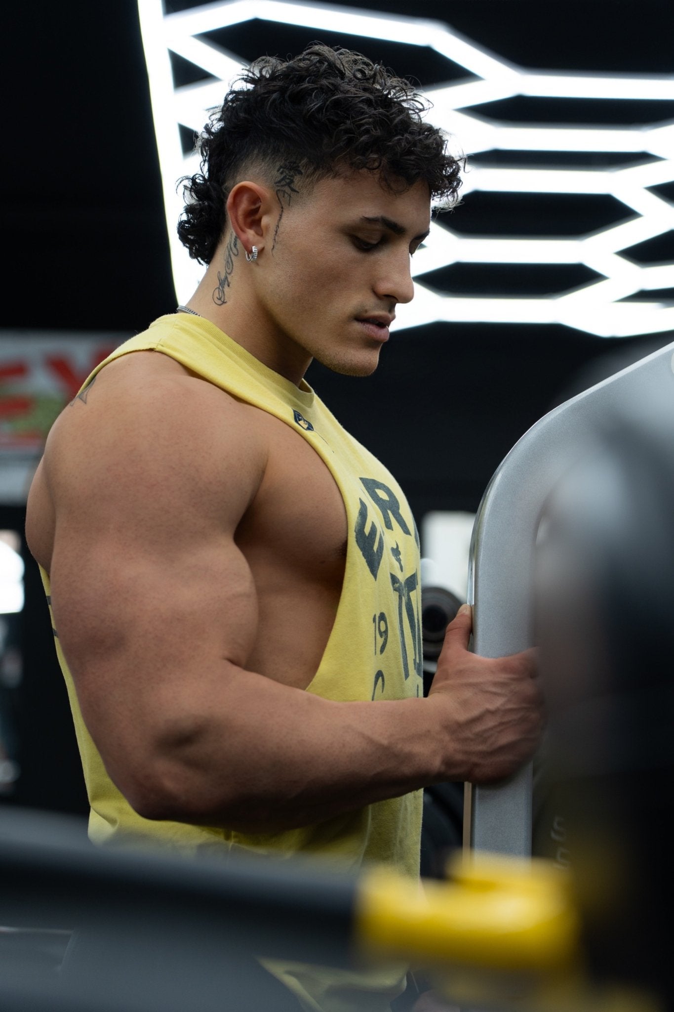 Scheda Preimpostata - Dennis Ferrario